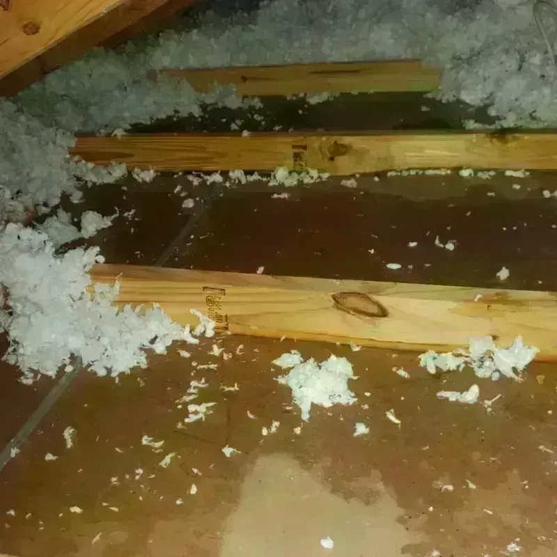 Attic Water Damage in Lyndon, KS